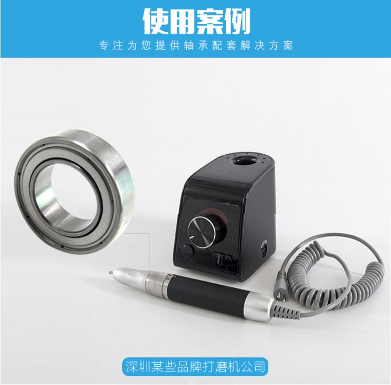 打磨機(jī)軸承010-790-779